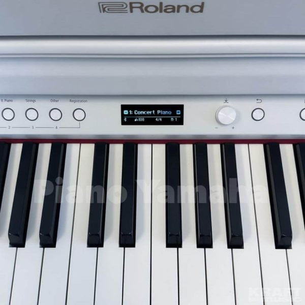 Roland HP-704