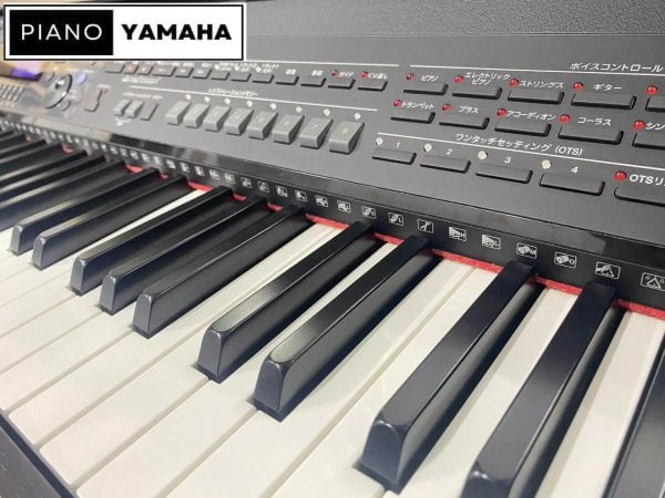 Yamaha CVP-501