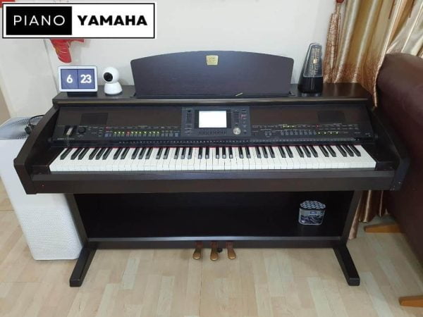 Yamaha CVP-503