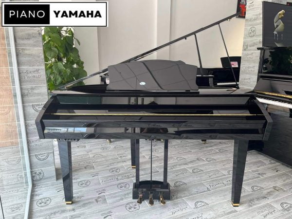 Yamaha DGP-7