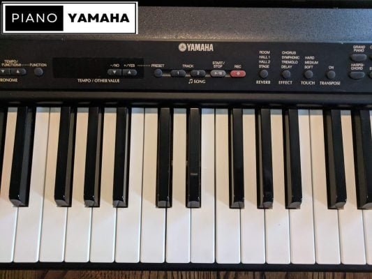 Yamaha P80