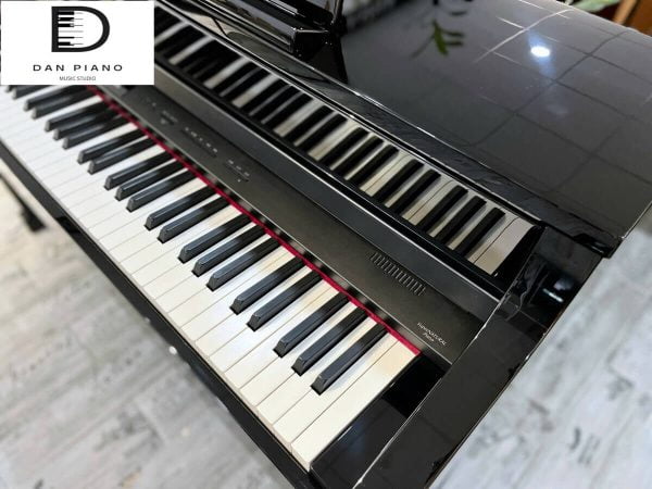 Đàn Piano Điện Roland HP508