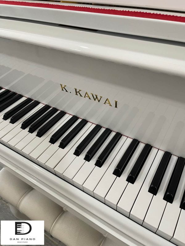 Kawai No500