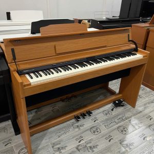 Đàn Piano Điện Roland DP90E