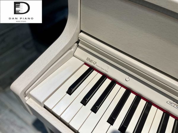 Đàn Piano Điện Roland HP-605GP