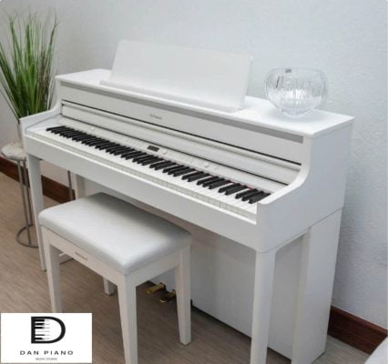 Đàn Piano Điện Roland HP704