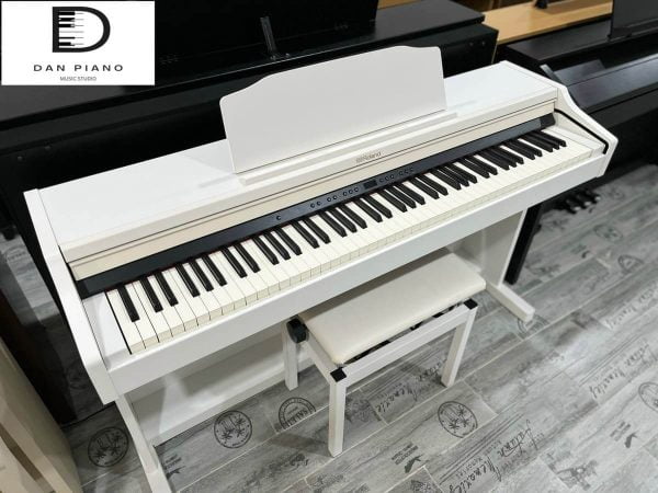 Đàn Piano Điện Roland RP501R