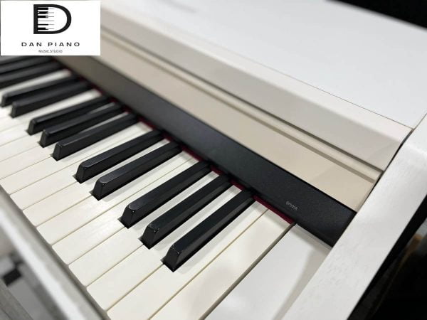 Đàn Piano Điện Roland RP501R