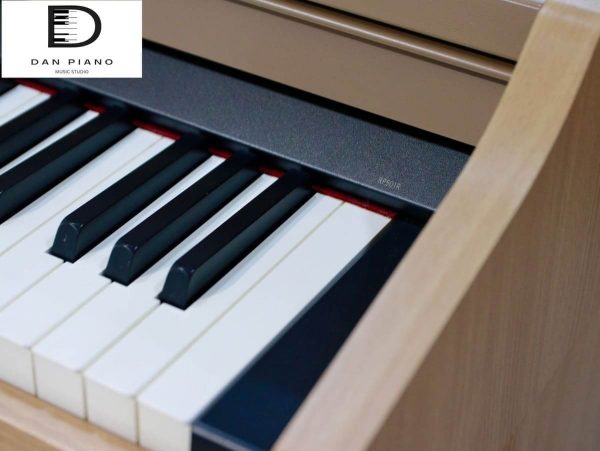 Đàn Piano Điện Roland RP501R