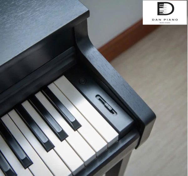 Đàn Piano Điện Kawai CN301