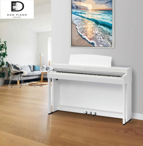 Đàn Piano Điện Kawai CN301