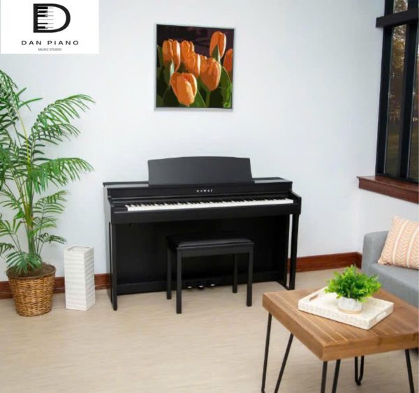 Đàn Piano Điện Kawai CN301