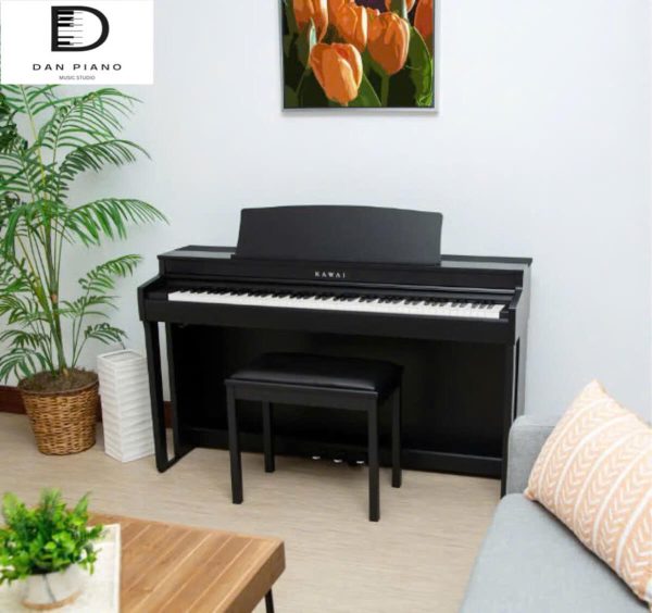 Đàn Piano Điện Kawai CN301