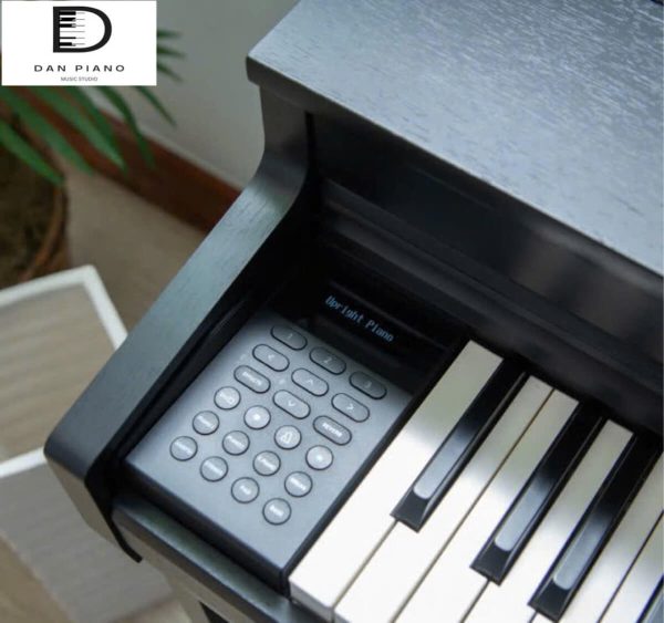 Đàn Piano Điện Kawai CN301