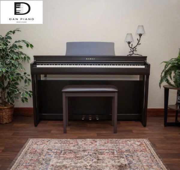 Đàn Piano Điện Kawai CN201