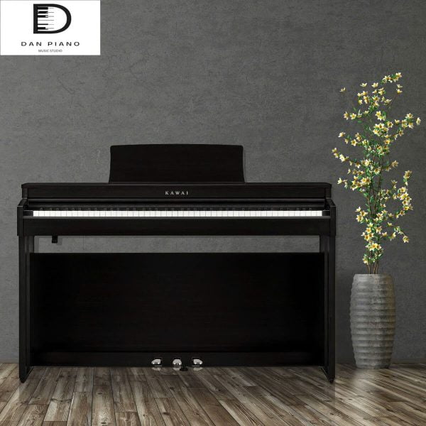 Đàn Piano Điện Kawai CN201