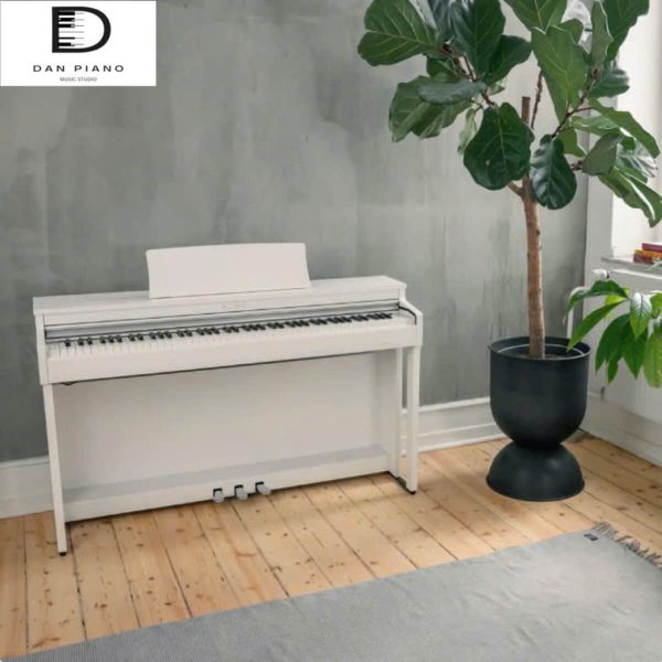 Đàn Piano Điện Kawai CN201