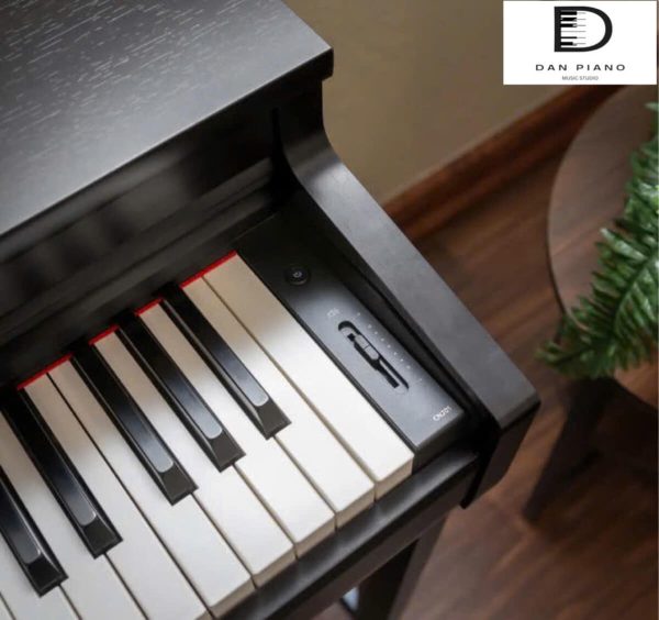 Đàn Piano Điện Kawai CN201