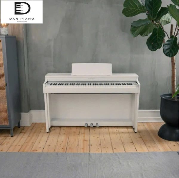 Đàn Piano Điện Kawai CN201