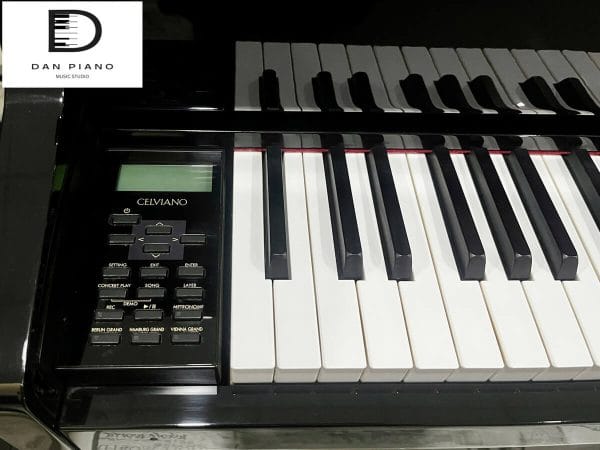 Casio GP500