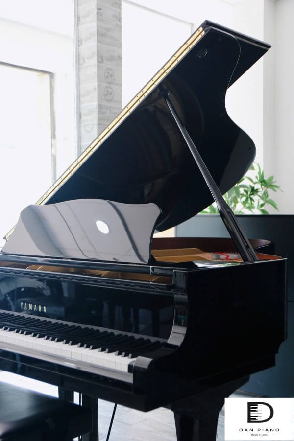 Grand Piano Yamaha C3B