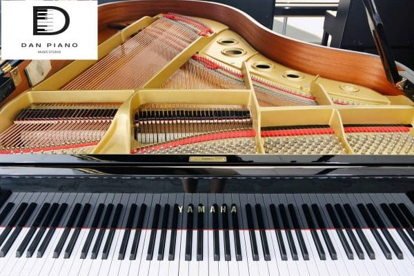 Grand Piano Yamaha G5A