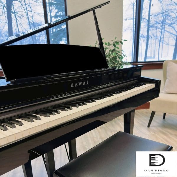 Kawai DG30